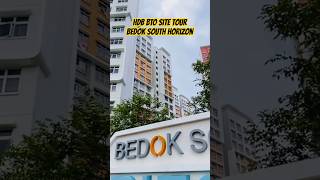 Singapore HDB  The Most Exciting BTO Launch in Years  Bedok South Horizon Sales Launch Nov 2016 [upl. by Ynohtnael]