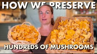 This Is How We Preserve Our Wild Mushroom Harvest [upl. by Nayab]