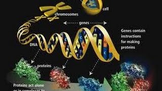 Una revisión de los conocimientos fundamentales de la biología de la célula La Epigenetica [upl. by Sldney]