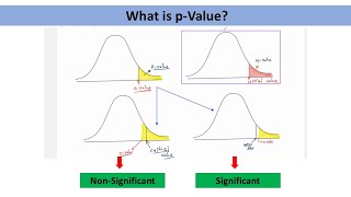 What is PValue for Hypothesis Testing  Basic Understanding [upl. by Terti]