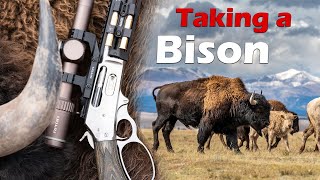 Taking a Buffalo with the Marlin 1895 SBL 4570 [upl. by Mackintosh]