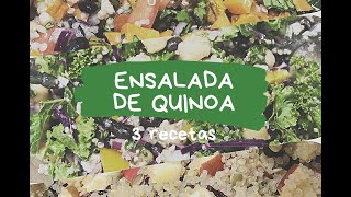 QUINOA 3 RECETAS \ ensaladas fáciles con Quinoa [upl. by Elletnahc]