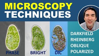 Comparing different Microscopy Techniques [upl. by Pinchas]