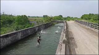 swimming [upl. by Nafis]