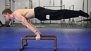 How To Planche  Beginner Tutorial [upl. by Nahshun]