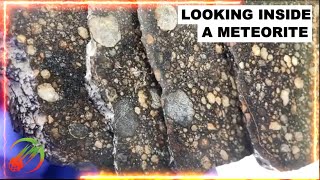 Meteorite Slices Showing Chondrules ☄️ in hand amp under microscope  type LL3 Chondrite [upl. by Olracnaig]