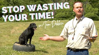 Teaching Your Dog to Remote Sit with Tom Dokken [upl. by Annahs123]