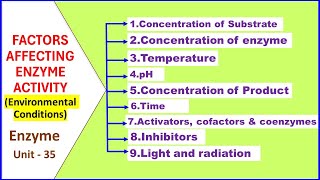 Factors Affecting Enzyme Activity  Enzyme Regulation by Environmental Factors  Enzyme Unit 35 [upl. by Ben]