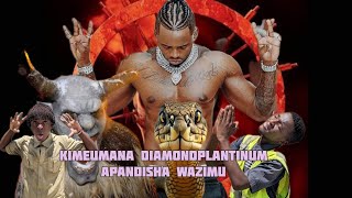 DIAMOND PLATINUMZ UTACHEKA SANA 😂 MAPOZI YA KUPIGA PICHA  HIII IMEEEENDA [upl. by Alaet]