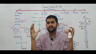 Ch20 Lec 6 Chemical Nature of DNA Fsc Part 2 UrduHindi lecture MDCAT NEET NCERT By M Bilal Ch [upl. by Adine]