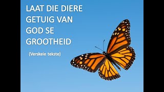 Laat die Diere getuig van God se Grootheid [upl. by Ahsercal]