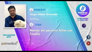 Manejo del paciente felino con Triaditis  MVZ Esp Jorge Alanis Quezada [upl. by Yclek647]