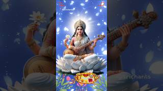 Maa Saraswati Puja saraswati saraswatipuja saraswatidevi study navratri navratrispecial exam [upl. by Annaliese]