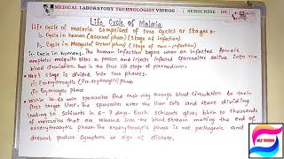 Life Cycle Of Malaria in hindi and urduan easy way to understand [upl. by Odnalor]