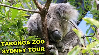 Taronga Zoo Sydney trip  2022 [upl. by Tdnerb]