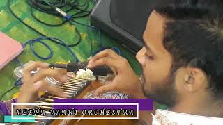 Kalyana Maalai Song  Veena Cover  by VEENA VAANI ORCHESTRA [upl. by Riella]