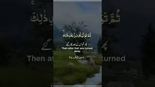 Than after that you turned away  Allah ka Quran ko share karo subcribe My chanel AliBro1114 [upl. by Eiramnna]