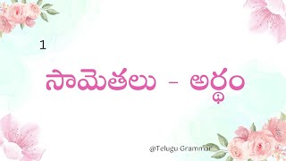 అర్థంతో కూడిన సామెతలు సామెతలు ద్వారా జీవితం అర్థం చేసుకోవడం By Telugu Grammar sametalu [upl. by Lienaj]