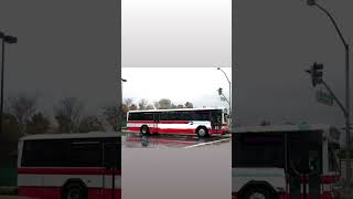 My MTA State of New York Have Gilligs Bluebird and International Corporation Buses [upl. by Wattenberg]