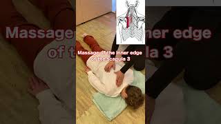 Massage of the inner edge of the scapula 3 massage [upl. by Micheil661]