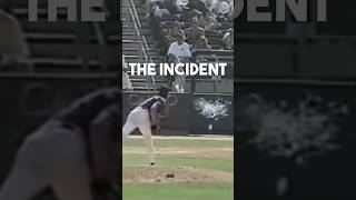 PETA Tried To Sue Randy Johnson For Hitting A Bird [upl. by Drhcir]