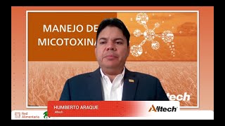 Programa de manejo de micotoxinas en cerdos [upl. by Enilra]