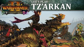 Malus Darkblade Lets Play  Total War WARHAMMER 2  The Shadow amp The Blade [upl. by Nyrak77]