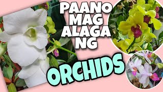 ORCHIDS BASIC CARE TIPS FOR BEGINNERS  ORCHIDS 101 [upl. by Camroc202]