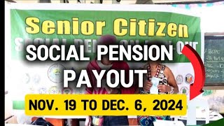 ✅1K MONTHLY SOCIAL PENSION PAYOUT SCHEDULE FOR SENIORS MULA NOV 19 TO DEC 6 2024 [upl. by Alrats974]