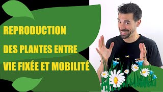 COURS DE TERMINALE SPÉCIALITÉ SVT CHAP10 REPRODUCTION DE LA PLANTE ENTRE VIE FIXÉE ET MOBILITÉ [upl. by Ehtylb225]