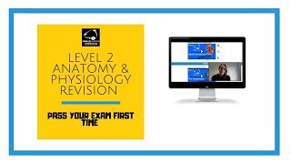 Level 2 Anatomy and Physiology Revision Mastery Series [upl. by Naivad805]