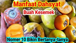 JARANG YANG TAHU INI MANFAAT DAHSYAT BUAH KESEMEK [upl. by Clorinde]