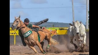 NATHAN QUEIROZ FICOU EN 2°LUGAR VAQUEJADA PARQUE SANTARÉM [upl. by Jory]