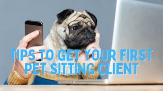 Pet sitting How to get your first client [upl. by Ylyl]