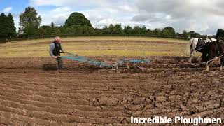 Horse Ploughing at the Weobley amp District Ploughing Match Friday 22nd September 2023 [upl. by Dlopoel]