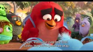 The Angry Birds Movie 2 2019  Getting the Team Together Scene 210  Movieclips [upl. by Eynaffit]