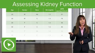 Assessing Kidney Function Glomerular Filtration Rate GFR Nephrology Lecturio [upl. by Sikleb]