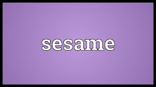 Sesame Meaning [upl. by Iznik821]