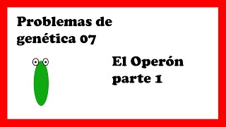 OPERÓN lac control positivo y negativo explicación completa operon lactosa y triptofano [upl. by Rednas]