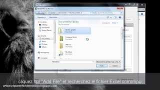 Reparer Fichier Excel Endommagé Tutoriel 2014 [upl. by Nnaacissej]