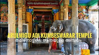 EP23Arulmigu Athi Kumbeshvarar TempleKumbakonamആദി കുമ്പേശ്വര ക്ഷേത്രം കുമ്പകോണംതമിഴ്നാട് [upl. by Suoirrad]