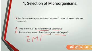 Ethanol fermentation  Industrial Microbiology [upl. by Kling]