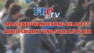 Massenzuwanderung nach Österreich Belastung für Arbeitsmarkt und Sozialsystem [upl. by Asiral927]