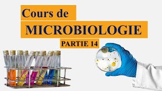 Cours de microbiologie partie 14  métabolisme et nutrition bactériens les besoins élémentaires [upl. by Nomor]