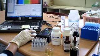 IB Biology starch hydrolysis using amylase enzyme with colorimeter [upl. by Enomar136]