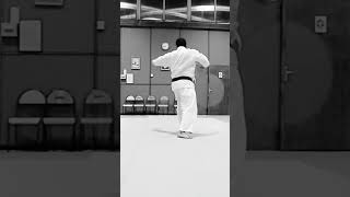 Karate Shotokan Kata Heian Godan Tobikomi fighter karate fighting martialarts viralvideo jump [upl. by Macey]