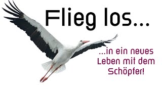 FLIEG LOS in ein neues Leben mit dem Schöpfer  Predigt zum Erntedankfest 2024 [upl. by Zoeller347]