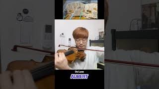 Violin Bridge│AUBERT vs DESPIAU [upl. by Maillliw470]