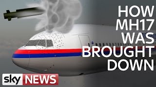 MH17 Air Crash Investigation What Caused Disaster [upl. by Enuj44]