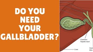 What does the gallbladder do  Gallbladder functions [upl. by Assirroc]